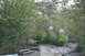 1990 Chevrolet Suburban - A muddy path winds through dense foliage, with a large culvert pipe visible on the left bank.