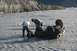 1990 Chevrolet Suburban - An ATV has overturned in a shallow, muddy river, with two individuals attempting to recover it.