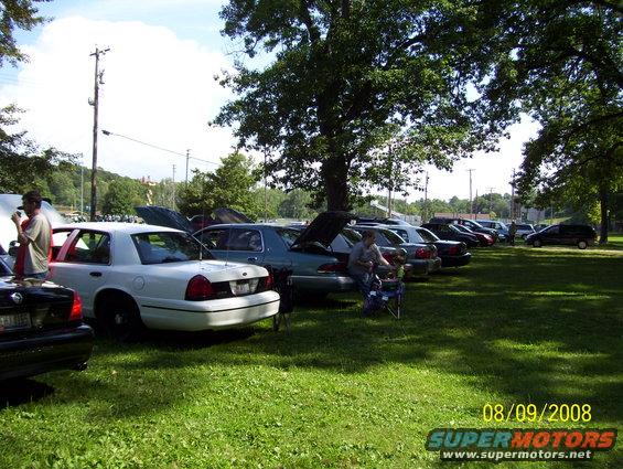 White 2008 Ford Crown Victoria parked on grass, rear view. License plate is visible
