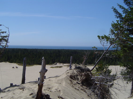 dunefest-2008-057.jpg Ocean in the background