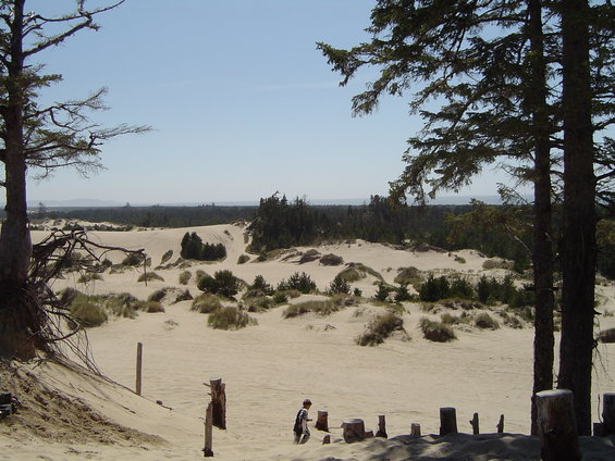dunefest-2008-058.jpg 