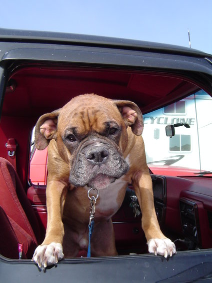 dunefest-2008-114.jpg I think he's ready for home