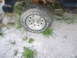 1986 Ford Ranger - Bronco Wheel's 4 Sale