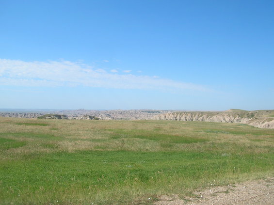 Vast green grassland under a clear blue sky with distant badlands