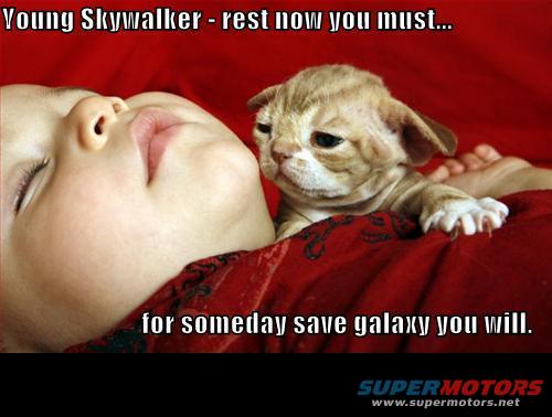 Kitten with large ears looks at a sleeping baby. Text reads 'Young Skywalker - rest now you must... for someday save galaxy you will.'