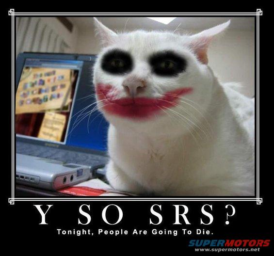 yss.jpg 