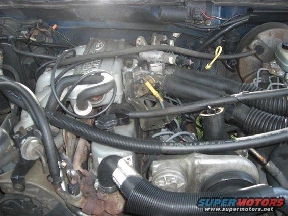 Engine bay with hoses and engine components visible