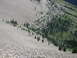 2008 Honda RANCHER - A mountain slope displays a transition from rocky scree to a dense evergreen forest.