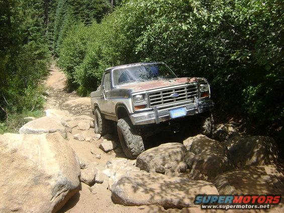 dsc00925.jpg Strawberry trail 8-16-08