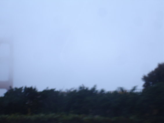 dsc01317.jpg 
