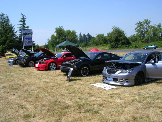 Several cars lined up with hoods open on a grassy field. One is a silver sedan