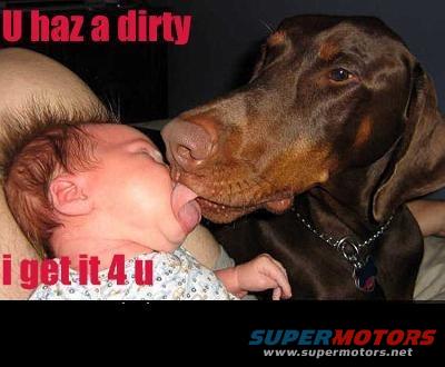dog5.jpg