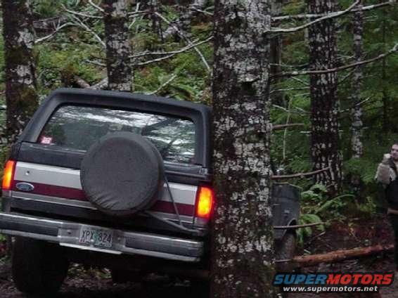 Rear of a dark-colored Ford Bronco with a spare tire on the back, parked off-road