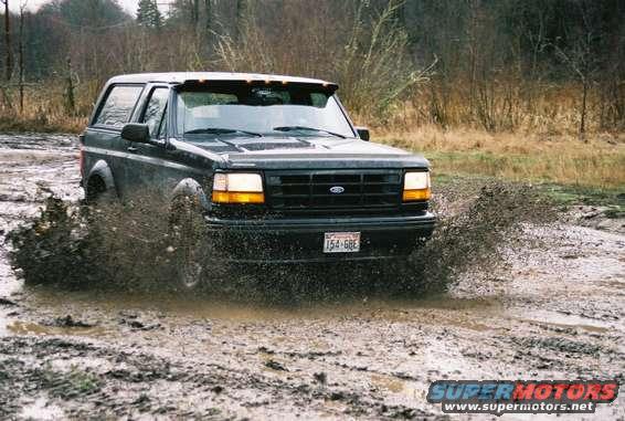 madness.jpg My favorite ladies. The BLK Horse with the wife behind the wheel