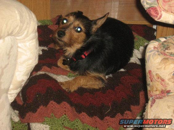 img_0010.jpg 8-22-08
morning