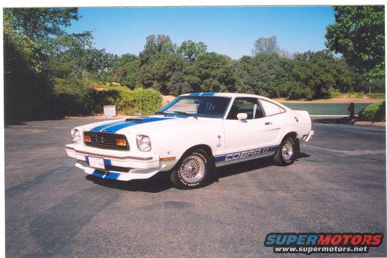 My 1976 Cobra II