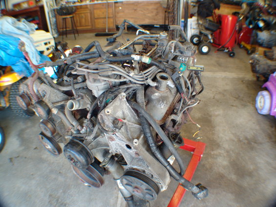 Well here is my 1996 351W finnaly sepaerated from the e4oD and on the engine stand....