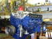 1964 Ford Galaxie - A freshly painted V8 engine block sits on a stand in a cluttered garage, ready for assembly.