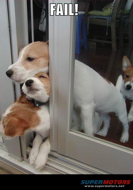 fail4.jpg 