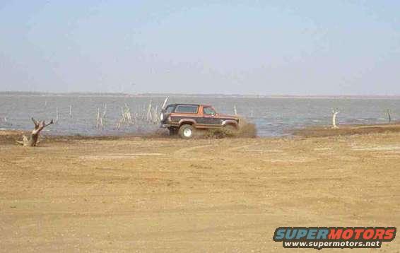 Ford Bronco driving through shallow water near a shore with some dead trees