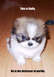 fluffy