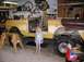 1971 Ford Bronco - A young girl stands next to a yellow 1971 Ford Bronco that is undergoing repairs in a garage.
