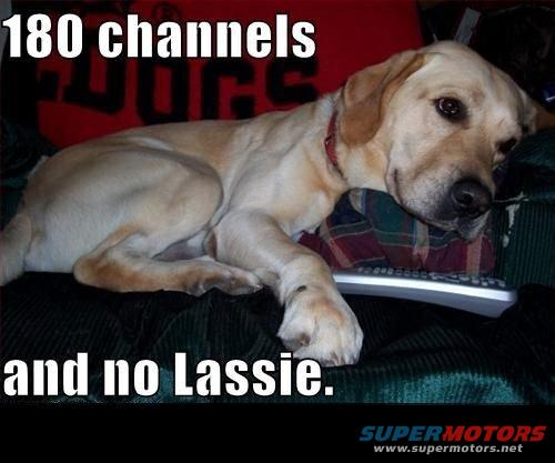Labrador retriever lying on a couch with a remote control, text overlay reads '180 channels and no Lassie.'