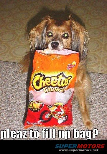 Dog with its head in a bag of Cheetos, text says "pleaz to fill up bag?"
