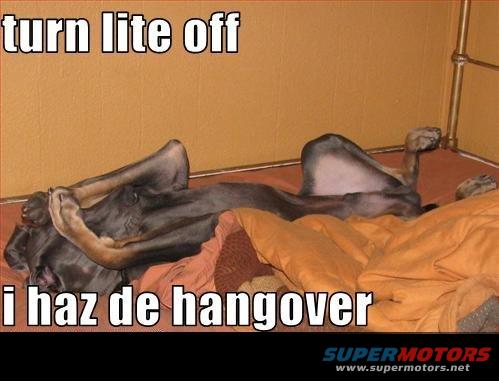Two dogs are sleeping on a bed with text overlays 'turn lite off' and 'i haz de hangover'