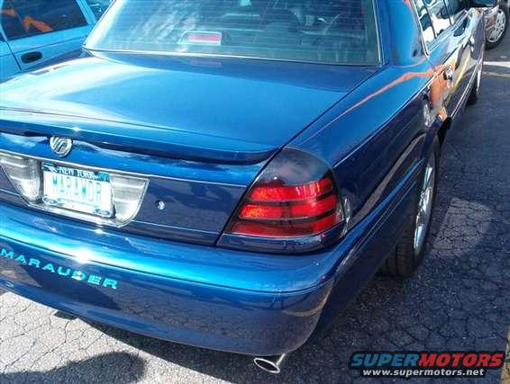 im000120.jpg blue rauder