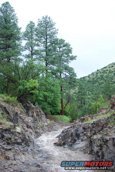 creek bed with rocky sides, trees, and a hill in the background