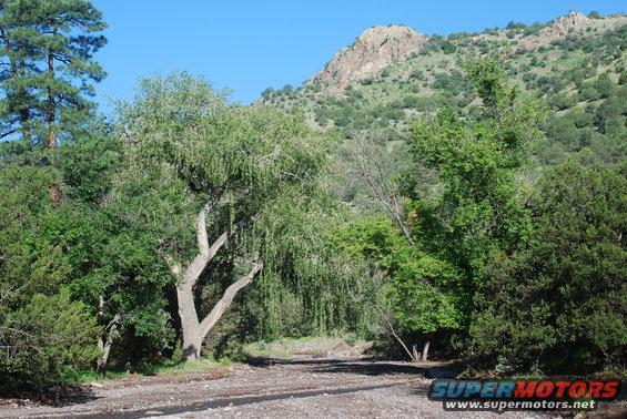 dry creek bed with trees and a mountain in the background, supermotors.net logo in corner