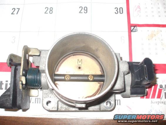 Throttle Body Stock