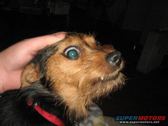 img_0002.jpg 8-24-08