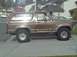 1981 Ford Bronco