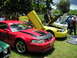 2009 Ford Mustang - Several Mustangs are displayed with hoods and doors open at an outdoor car show.