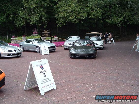 exotics-003.jpg 