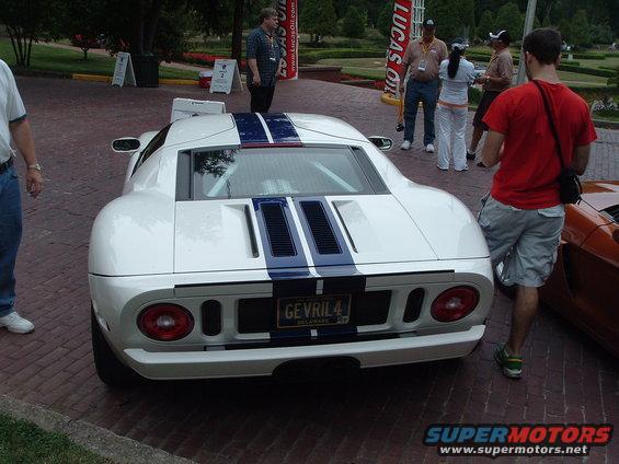 exotics-018.jpg 