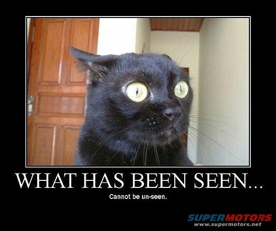 Black cat with wide, yellow eyes, looking startled, with text 'WHAT HAS BEEN SEEN...' below