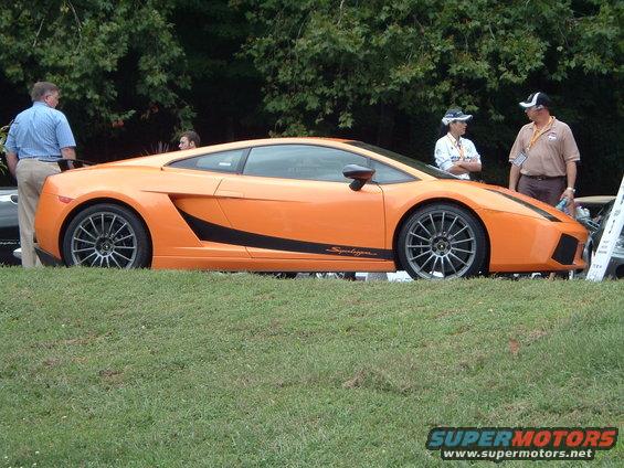 exotics-032.jpg 