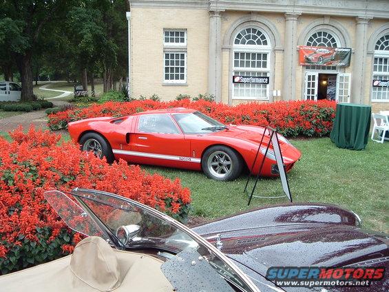 exotics-044.jpg 