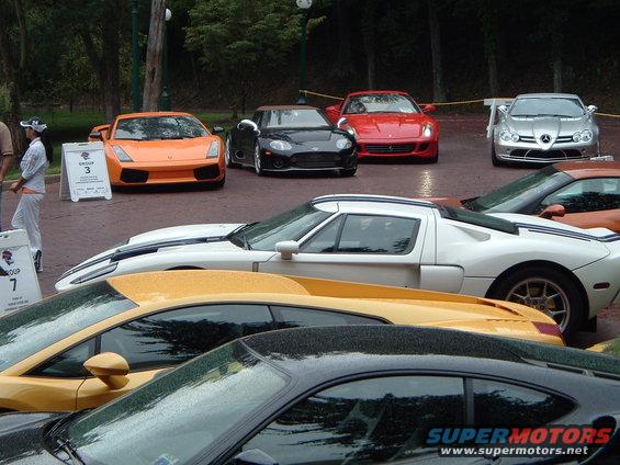 exotics-048.jpg 