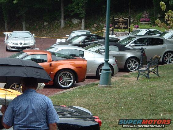exotics-049.jpg 