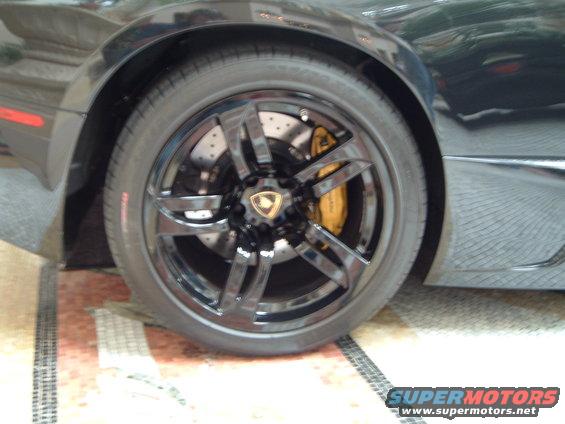 exotics-058.jpg 