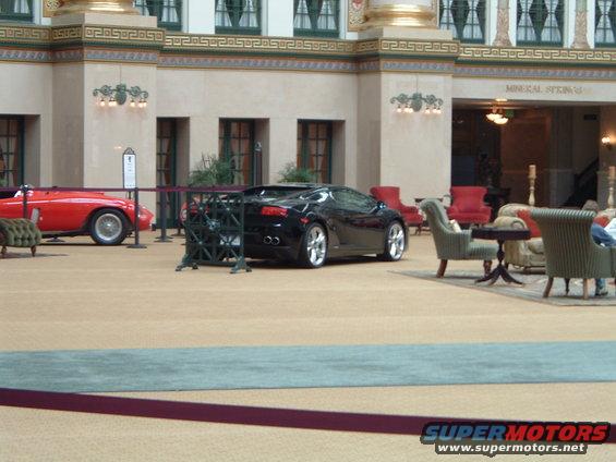 exotics-071.jpg 