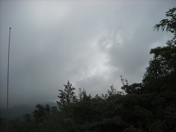 00043.jpg
