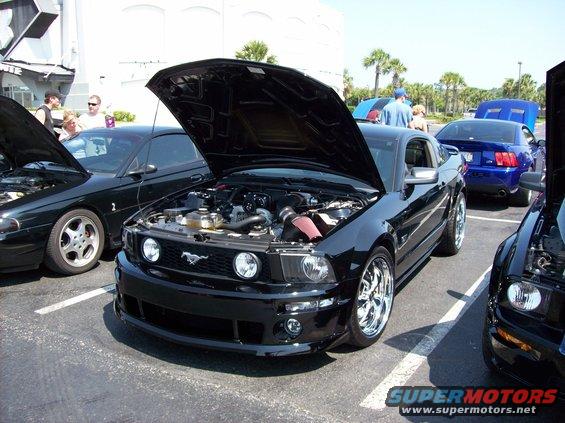 mustang-week-08-012.jpg