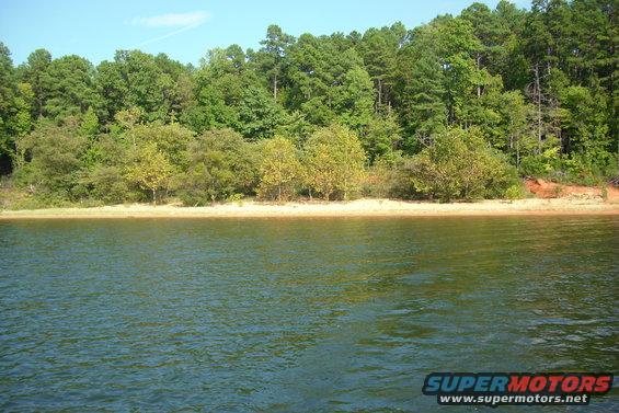 The swimming hole 2