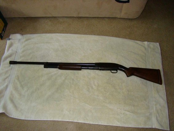 shotgun-001.jpg 
