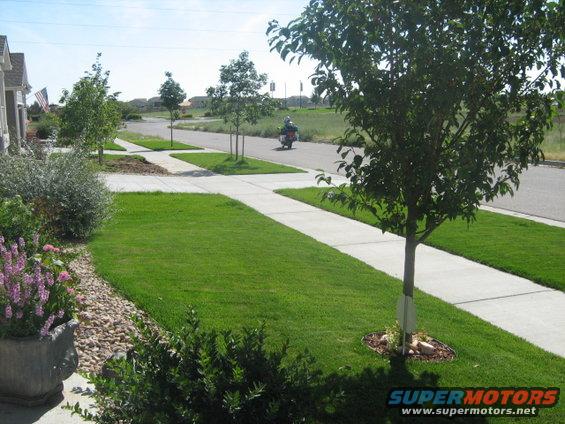 Motorcycle rides down a paved street in a suburban neighborhood with manicured lawns and trees